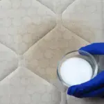 Transform Your Kitchen with Natural, Budget-Friendly Cleaning Solutions