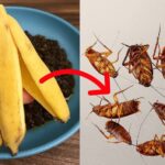 Your Freezer Will No Longer Be Covered in Ice Thanks to This Method