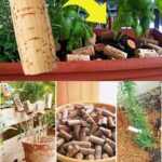 Stop Buying Ginger from Store: Grow an Endless Supply at Home in a Pot
