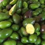 Preserve Your Tomatoes Naturally: The Genius Trick to Enjoy Them for 24 Months Without Vinegar