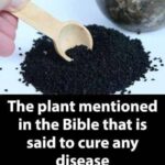 Natural Remedy for Sleeping Soundly 8 Hours Straight and Not Waking Up Tired