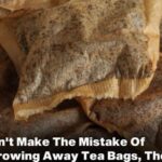 The Power of Pine Needles: 30 Benefits and Homemade Uses