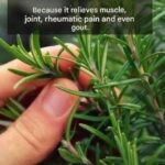 How to Combat Foot Fungus: This Really Works!