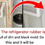 6 Signs of a Messy Home: What It Reveals About Her