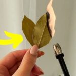 The Natural Power of Cloves: Home Remedies for Better Health