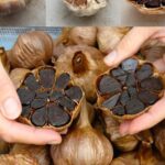 Stop buying vegetables from store. Grow these 15 at home all year round