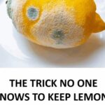 These common myths might surprise you — and the facts could change the way you eat