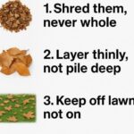 Say goodbye to bare branches. Revive your Christmas Cactus blooms with these simple hacks