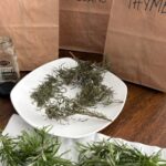 Miracle Tea: The Natural Remedy That Improves Sleep and Relaxes Your Body