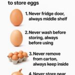 These ideas are amazing