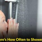 When a Cat Rubs Against You: What It Really Means