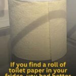 Why Dandelion Roots are the Most Important Part of the Plant