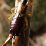 Mystery Tower in Oregon Turns Out to Be a Genius DIY Invention