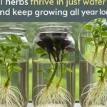 The Greatest Fear Children Have When Visiting Their Parents