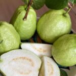 Homemade Baileys Irish Cream Perfect Christmas Gift!