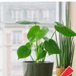 I was totally out of the loop before! Can’t wait to try this!