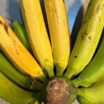 How To Make Homemade Bread For Pennies