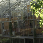 All Natural Botox Oil To Fight Wrinkles & Fine Lines