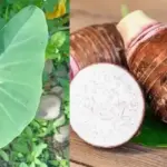 5 Things You Only Get When Loving an Older Woman