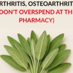 Benefits of Putting Garlic in a Glass of Water Overnight: The Morning Remedy People Still Swear By