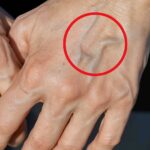 A Chef’s Secret for the Best Egg Salad