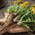 7 Daily Drinks That Can Lower Blood Pressure Naturally (Doctors Won’t Tell You)