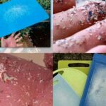 Learn how to cleanse 15 kilos of waste from your colon at night