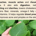 The Number Of Triangles You See Determines If You’re A Narcissist