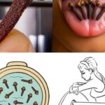 How To Propagate Rosemary from Cuttings in 4 Easy Steps