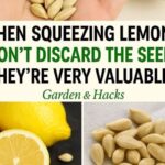 The Powerhouse in Your Herb Garden: Unpacking the Claims About Thyme