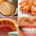 The Powerhouse in Your Herb Garden: Unpacking the Claims About Thyme