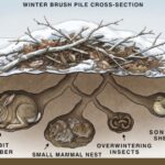 Is it safe to eat that leftover chicken?