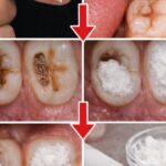 How To Make Creamy Cucumber Salad