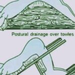 I Found These At My Grandma’s House And Have No Idea What They Are