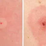 Pyrex vs. PYREX: What’s Actually Different (And Why It Matters)