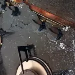 Leaving Butter on the Counter: Is it Safe?