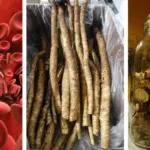 The Remarkable Trio: Unveiling the Health Advantages of Lipton Tea Blended with Cloves and Ginger for Women’s Wellness