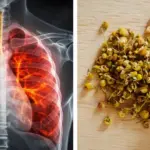 The One Green Drink That Can Make Your Kidneys, Liver, and Lungs Breathe Easier (Starting Tomorrow Morning)