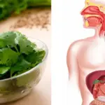 Put Cinnamon Sticks in Vinegar to Create a Potent Natural Remedy