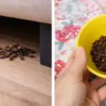 Most People Don’t Realize Honey Can Help With These 17 Common Problems