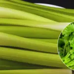 Put A Glass of Water With Salt and Vinegar in Any Part of Your House – After 24 Hours, You’ll Be Pleasantly Surprised!