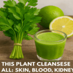 What Chamomile Does to Your Body: Why Ancient Romans Used It for Strength and Calm