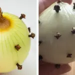 The Surprising Benefits of Black Sesame Seeds – 10 Reasons to Eat Them Every Day