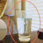 When You Eat Celery Every Day for a Week, Your Body Might Get These 14 Health Benefits