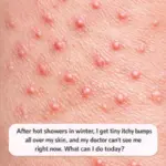 The “vein” of the shrimp: the culinary detail that few know and many discuss