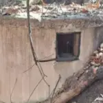 Is This A Secret Passage, A Weird Relic… Or Something Else Entirely?