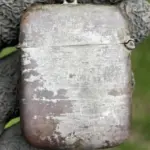 Wait—What Is This?