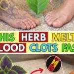 Banana Pudding Layered Dessert – A Southern Classic with a Creamy Twist