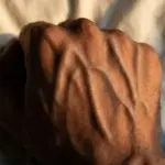 How to get greasy film off kitchen cabinets and appliances