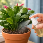 8 Perfect Vegetable Pairings for Container Gardening: Maximizing Space and Flavor